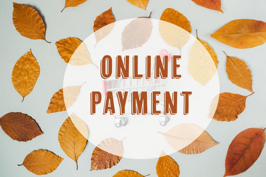 Professional Payment Setup